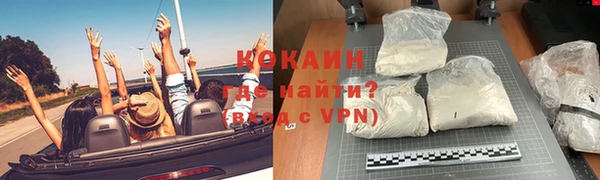 стаф Нефтегорск