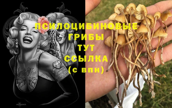 круглые Вязники