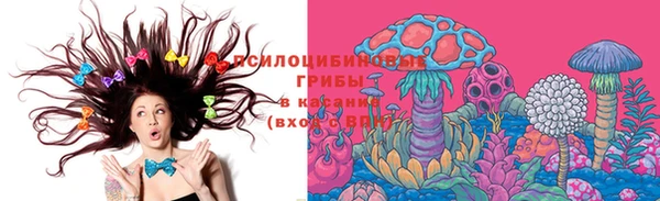 Альфа ПВП Новодвинск